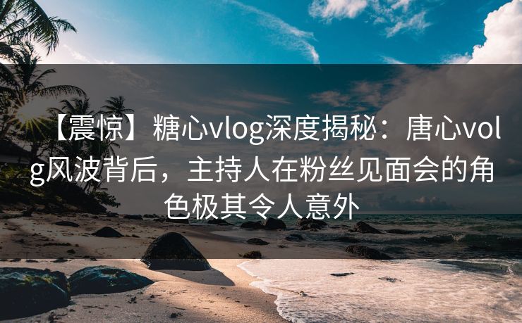 【震惊】糖心vlog深度揭秘：唐心volg风波背后，主持人在粉丝见面会的角色极其令人意外