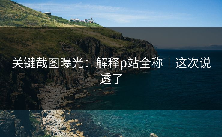 关键截图曝光：解释p站全称｜这次说透了